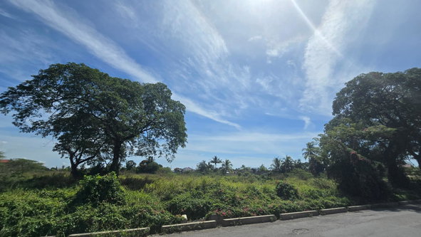 Seventh image of 0-0 Land Part of Featherbed in Spanish Town, St. Catherine, Jamaica - property is For Sale