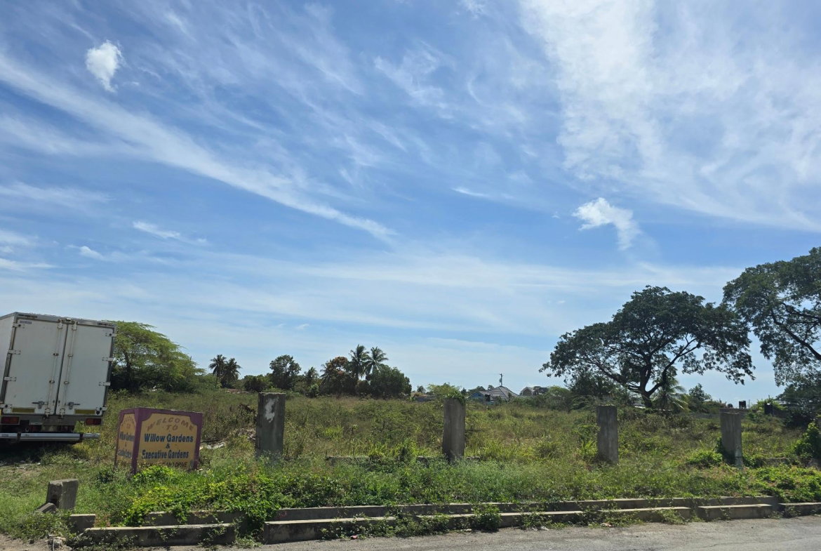 Eighth image of 0-0 Land Part of Featherbed in Spanish Town, St. Catherine, Jamaica - property is For Sale