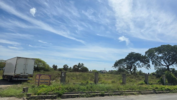 Eighth image of 0-0 Land Part of Featherbed in Spanish Town, St. Catherine, Jamaica - property is For Sale