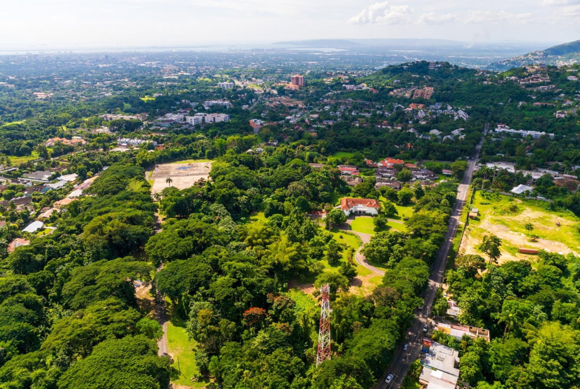 Fifth image of 12 Long Lane in Kingston 9, St. Andrew, Jamaica - property is For Sale