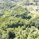 First image of Southfield in Runaway Bay, St. Ann, Jamaica - property is For Sale