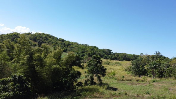 Twenty-Seventh image of Southfield in Runaway Bay, St. Ann, Jamaica - property is For Sale