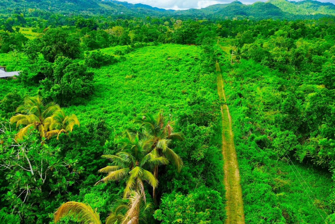 Second image of 98 Burnt Ground, Hanover in Ramble, Hanover, Jamaica - property is For Sale