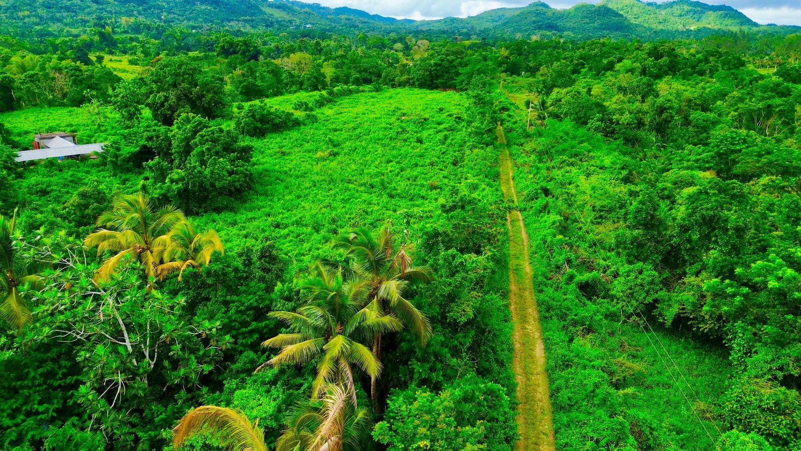 Second image of 98 Burnt Ground, Hanover in Ramble, Hanover, Jamaica - property is For Sale