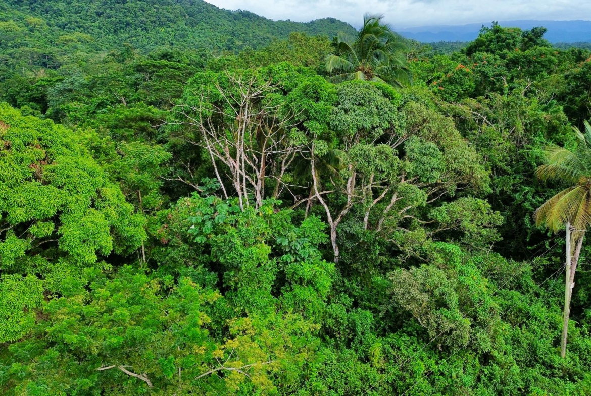 First image of 98 Burnt Ground, Hanover in Ramble, Hanover, Jamaica - property is For Sale