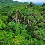 First image of 98 Burnt Ground, Hanover in Ramble, Hanover, Jamaica - property is For Sale