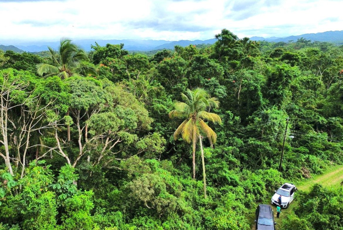 Third image of 98 Burnt Ground, Hanover in Ramble, Hanover, Jamaica - property is For Sale
