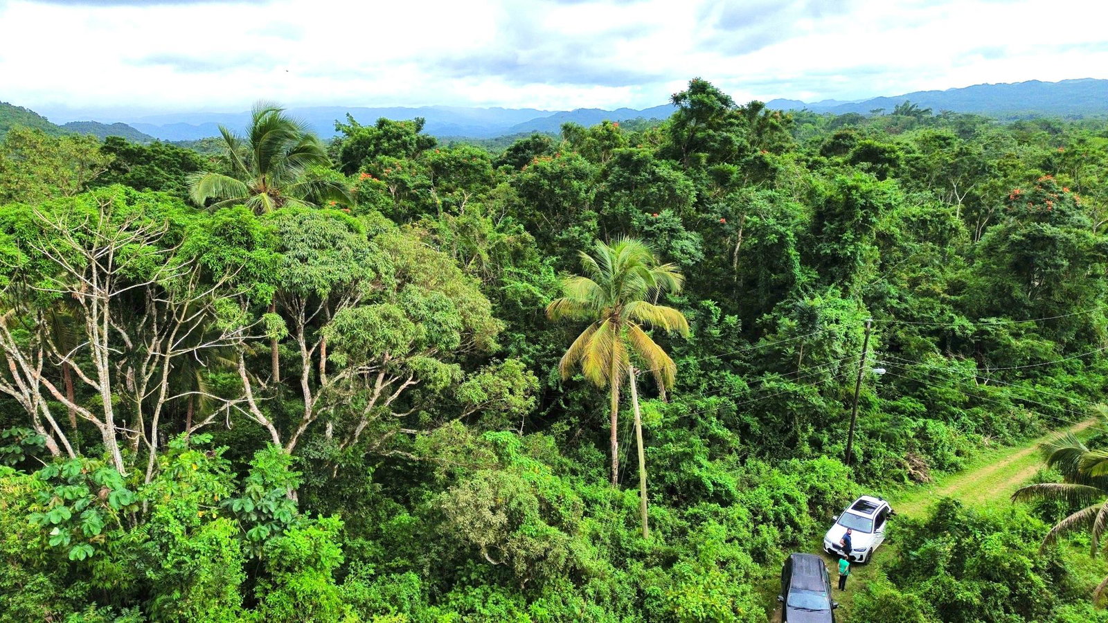 Third image of 98 Burnt Ground, Hanover in Ramble, Hanover, Jamaica - property is For Sale