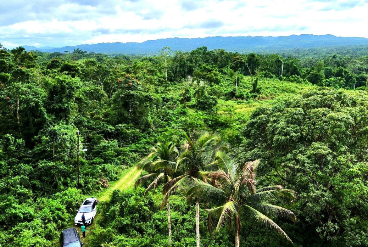 Fourth image of 98 Burnt Ground, Hanover in Ramble, Hanover, Jamaica - property is For Sale