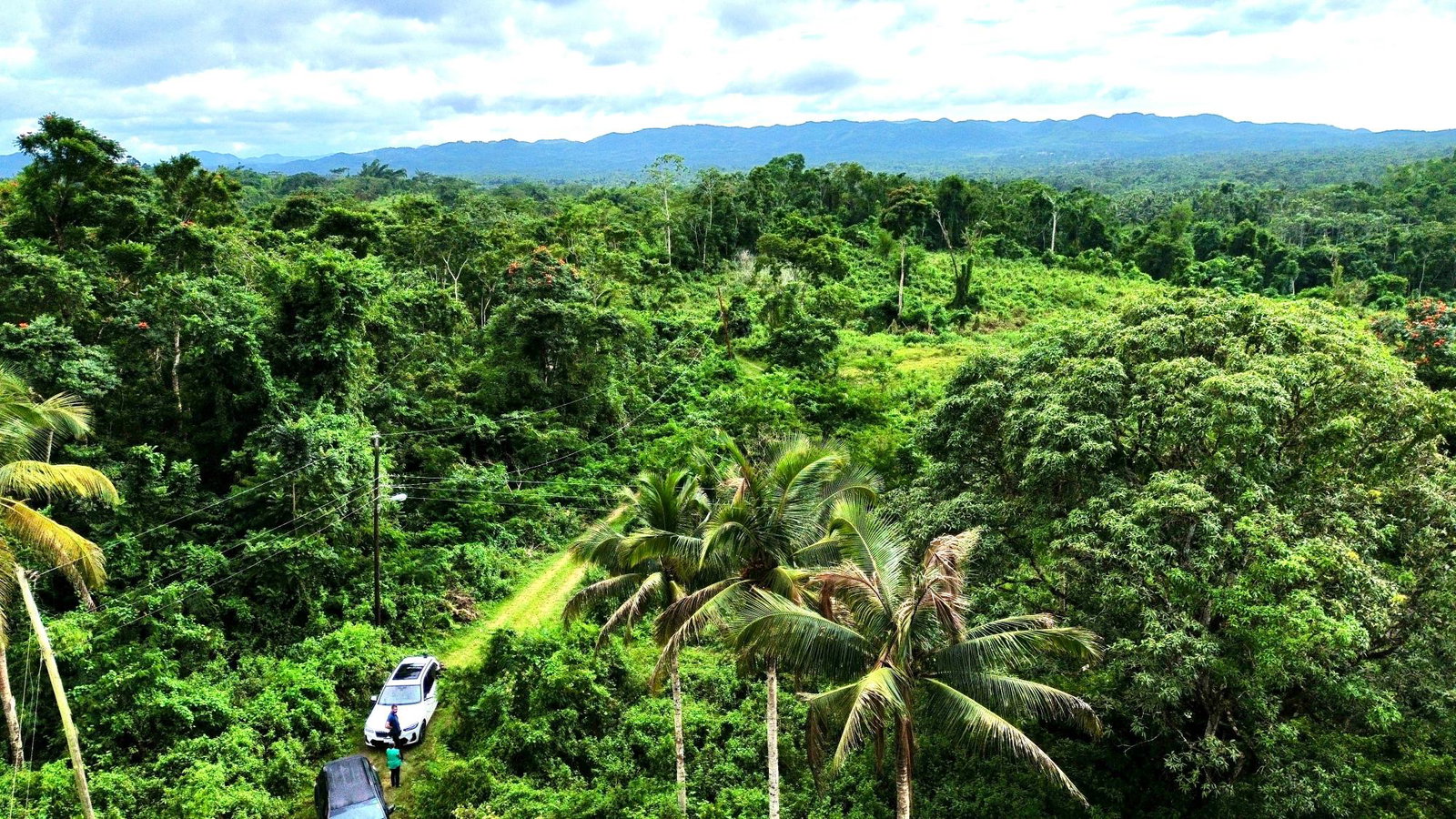 Fourth image of 98 Burnt Ground, Hanover in Ramble, Hanover, Jamaica - property is For Sale