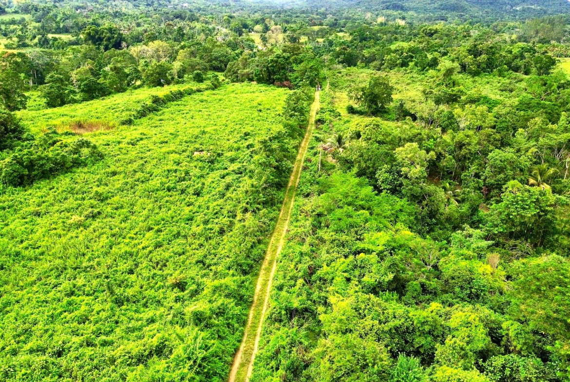 Fifth image of 98 Burnt Ground, Hanover in Ramble, Hanover, Jamaica - property is For Sale