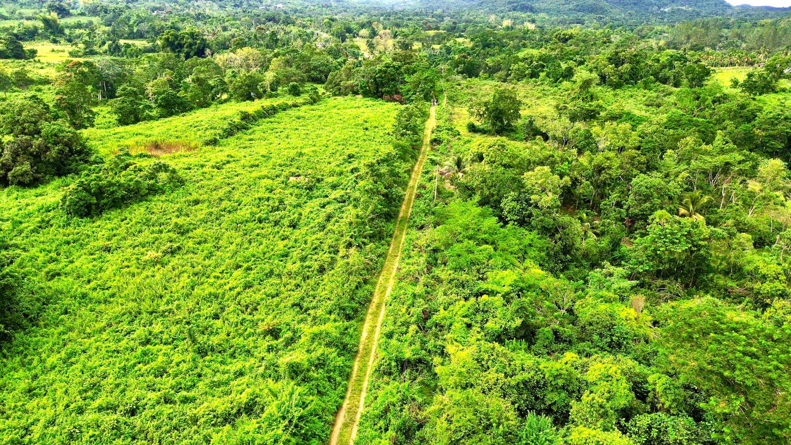 Fifth image of 98 Burnt Ground, Hanover in Ramble, Hanover, Jamaica - property is For Sale