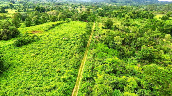 Fifth image of 98 Burnt Ground, Hanover in Ramble, Hanover, Jamaica - property is For Sale