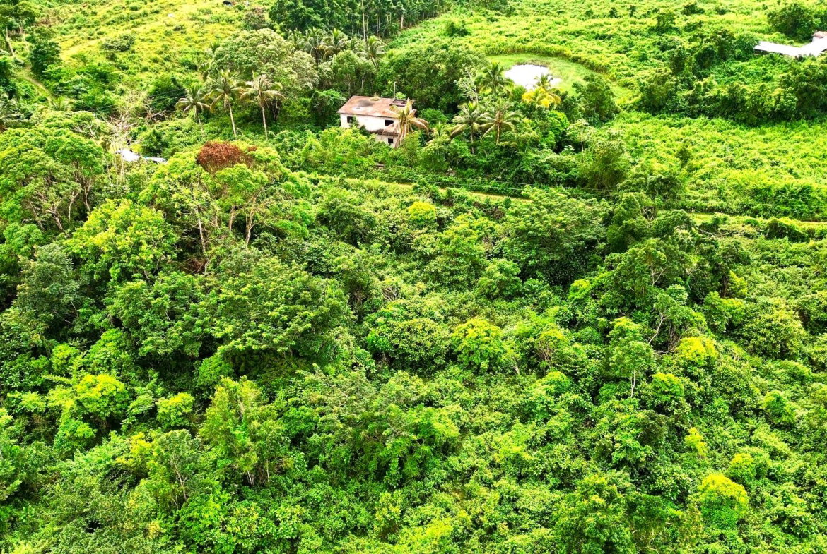Sixth image of 98 Burnt Ground, Hanover in Ramble, Hanover, Jamaica - property is For Sale
