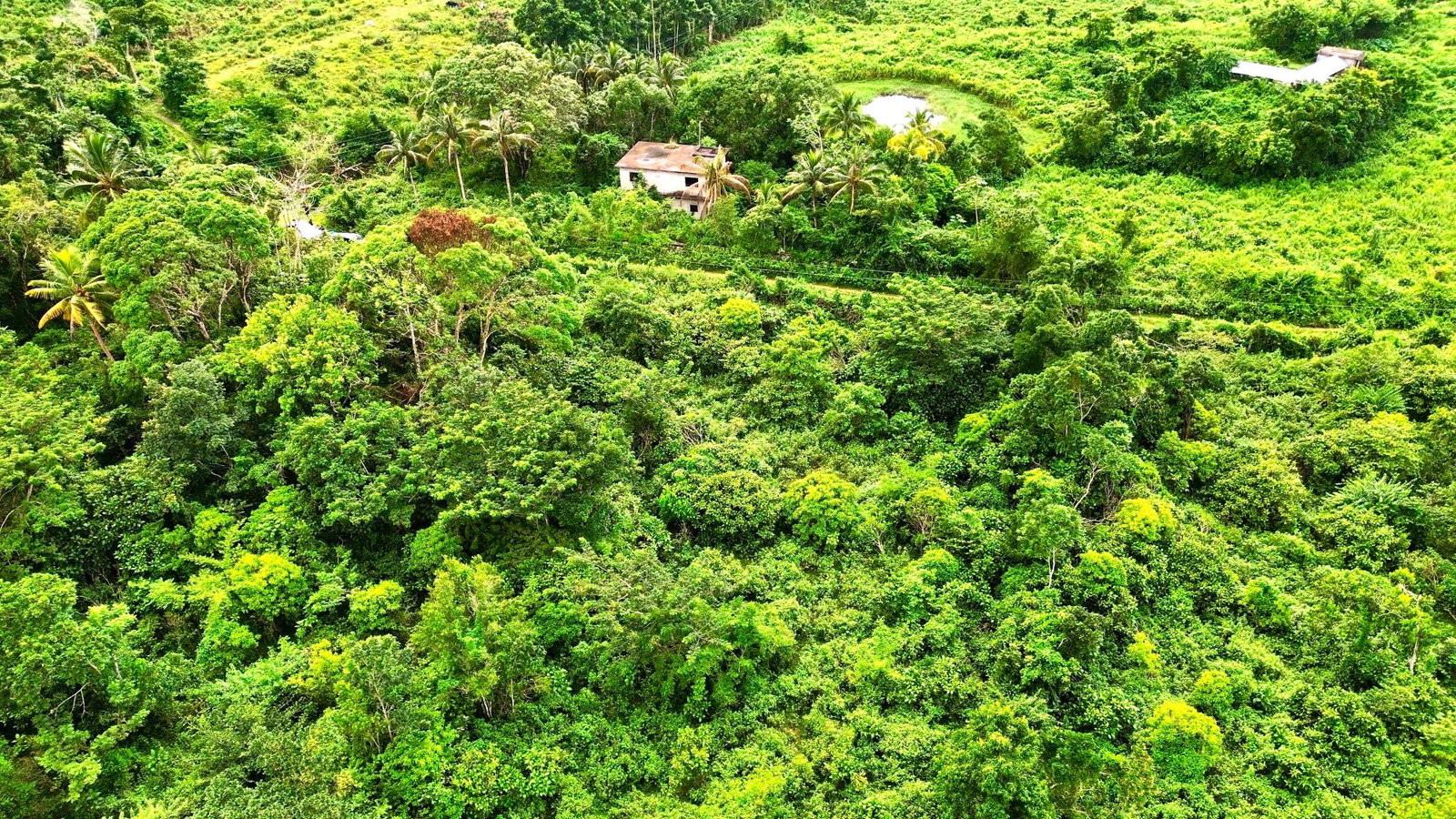 Sixth image of 98 Burnt Ground, Hanover in Ramble, Hanover, Jamaica - property is For Sale