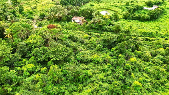 Sixth image of 98 Burnt Ground, Hanover in Ramble, Hanover, Jamaica - property is For Sale