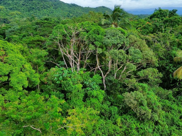 First image of 98 Burnt Ground, Hanover in Ramble, Hanover, Jamaica - property is For Sale