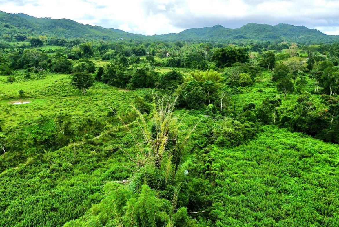 Seventh image of 98 Burnt Ground, Hanover in Ramble, Hanover, Jamaica - property is For Sale