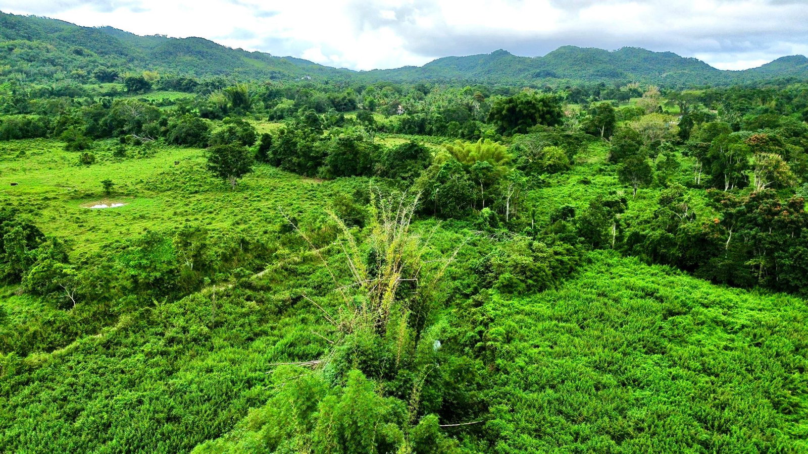 Seventh image of 98 Burnt Ground, Hanover in Ramble, Hanover, Jamaica - property is For Sale