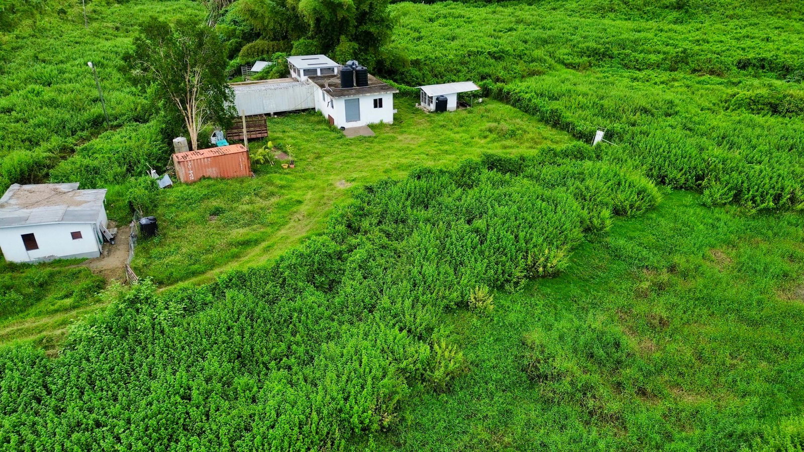 Second image of 88 Burnt Ground, Hanover in Ramble, Hanover, Jamaica - property is For Sale