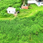 First image of 88 Burnt Ground, Hanover in Ramble, Hanover, Jamaica - property is For Sale
