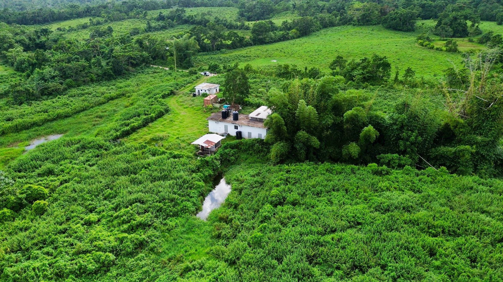 Fourth image of 88 Burnt Ground, Hanover in Ramble, Hanover, Jamaica - property is For Sale