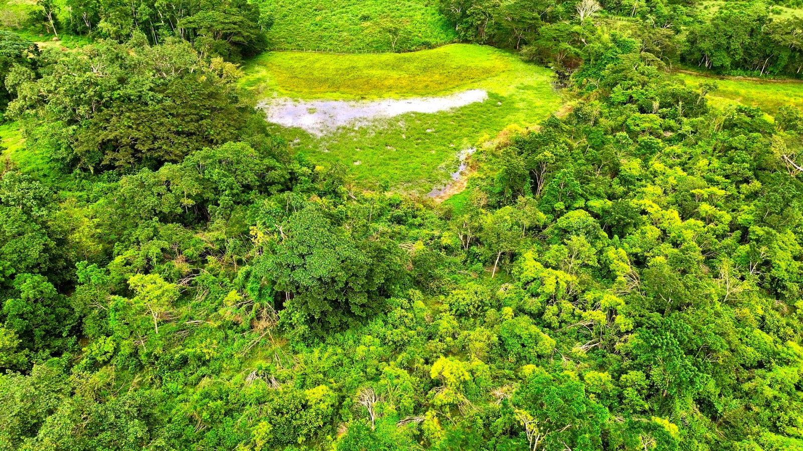 Seventh image of 88 Burnt Ground, Hanover in Ramble, Hanover, Jamaica - property is For Sale