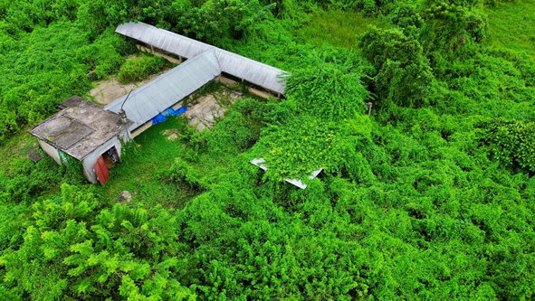 Ninth image of 88 Burnt Ground, Hanover in Ramble, Hanover, Jamaica - property is For Sale