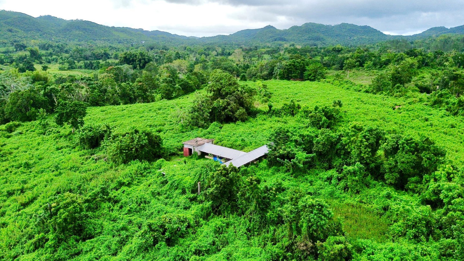 Tenth image of 88 Burnt Ground, Hanover in Ramble, Hanover, Jamaica - property is For Sale