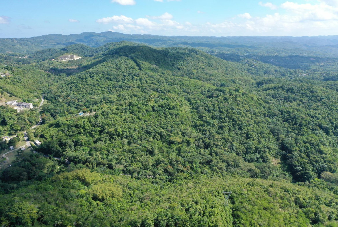 Second image of Eden Estate in Mount Carey, St. James, Jamaica - property is For Sale