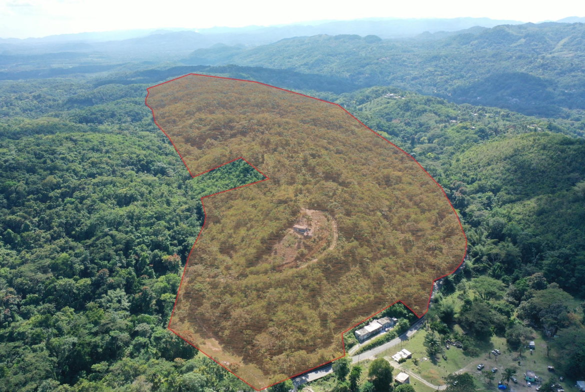 First image of Eden Estate in Mount Carey, St. James, Jamaica - property is For Sale