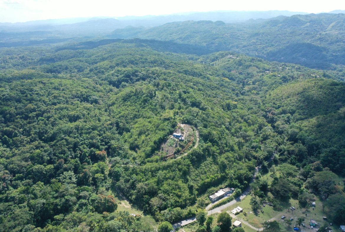Fourth image of Eden Estate in Mount Carey, St. James, Jamaica - property is For Sale