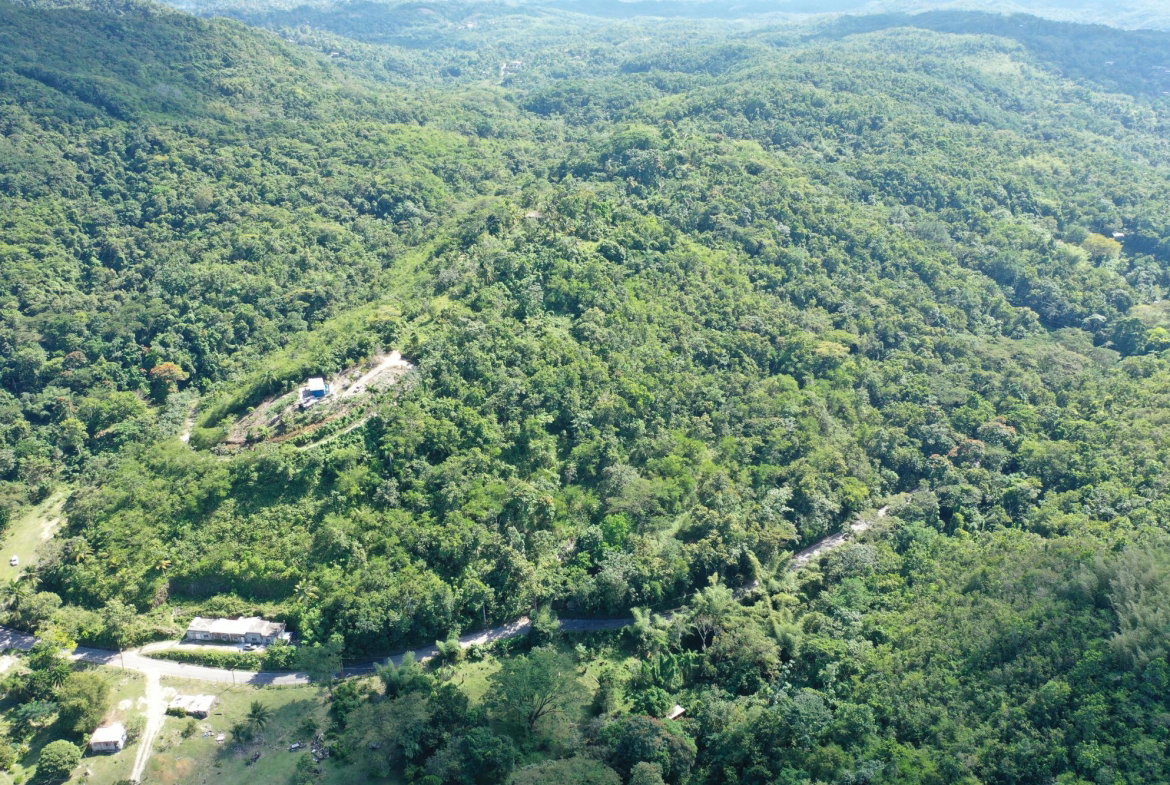 Fifth image of Eden Estate in Mount Carey, St. James, Jamaica - property is For Sale
