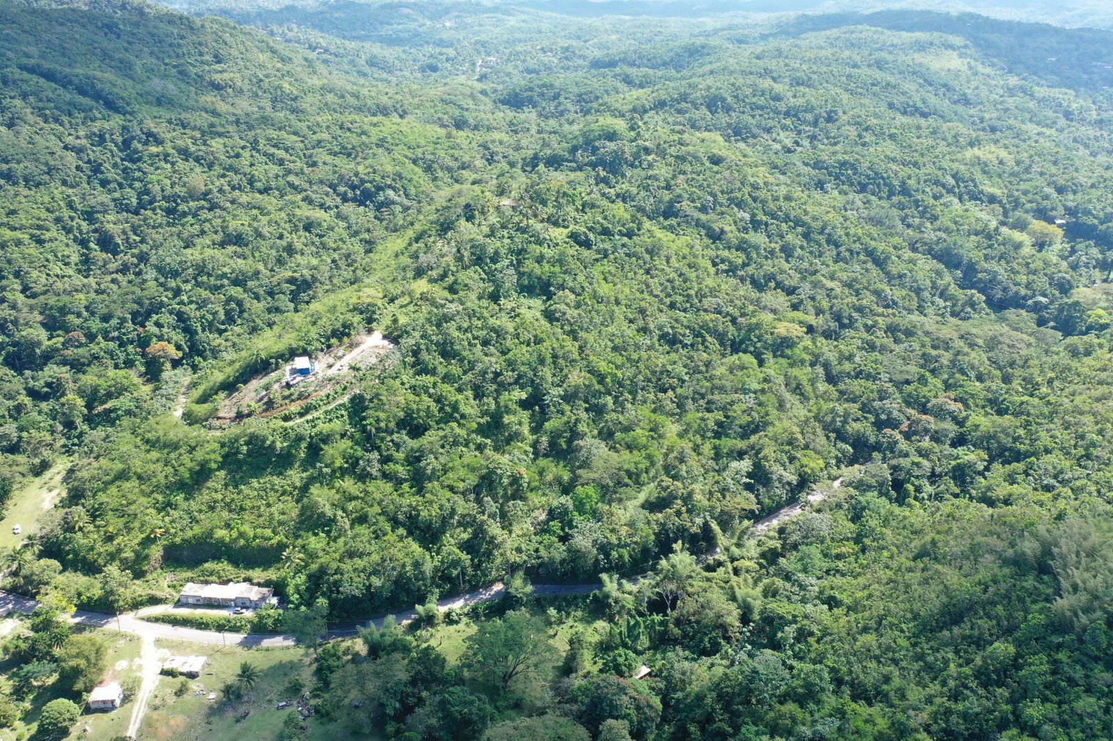 Fifth image of Eden Estate in Mount Carey, St. James, Jamaica - property is For Sale