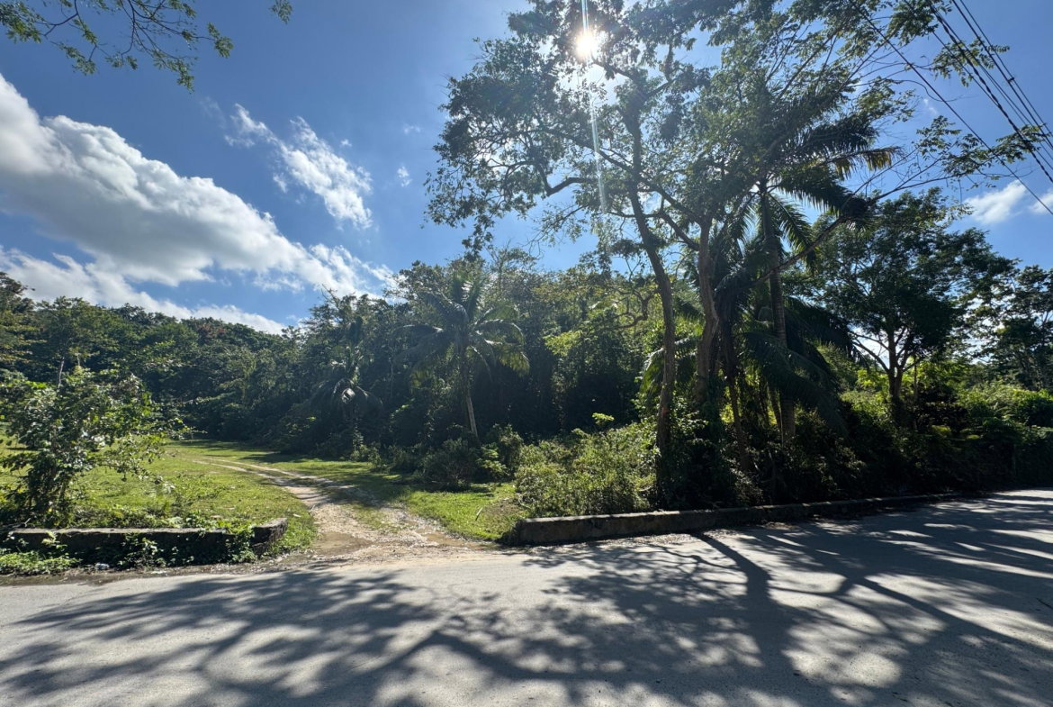 Sixth image of Eden Estate in Mount Carey, St. James, Jamaica - property is For Sale