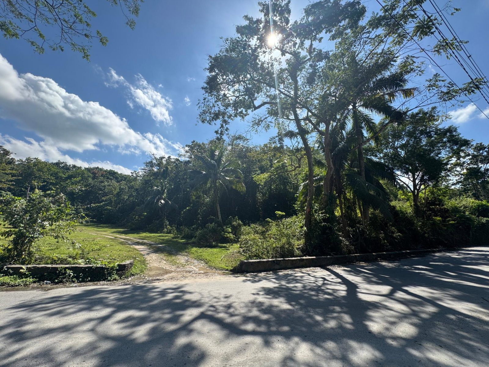 Sixth image of Eden Estate in Mount Carey, St. James, Jamaica - property is For Sale