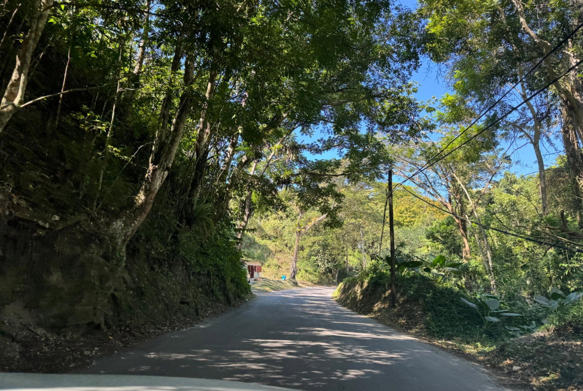 Seventh image of Eden Estate in Mount Carey, St. James, Jamaica - property is For Sale