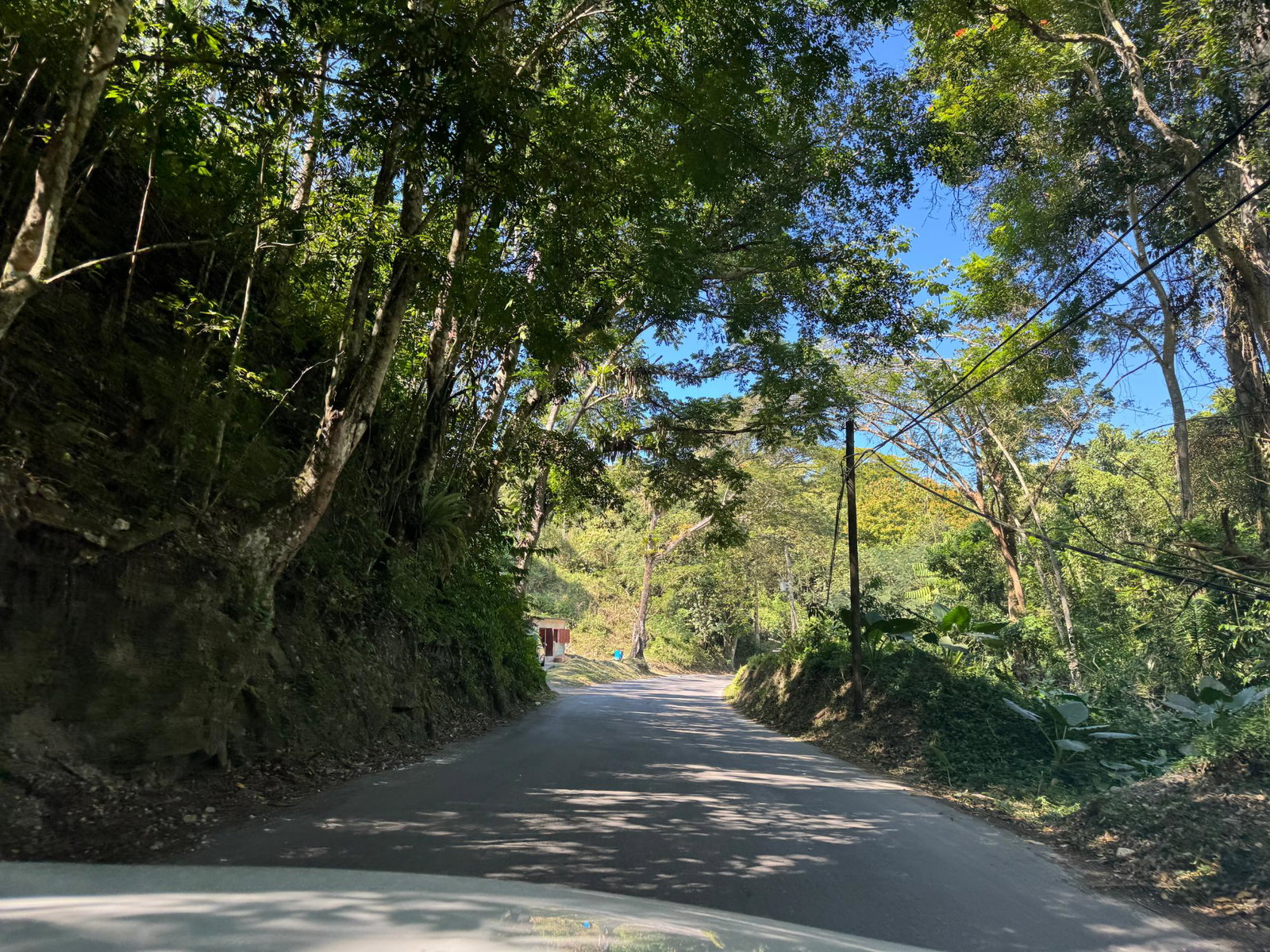 Seventh image of Eden Estate in Mount Carey, St. James, Jamaica - property is For Sale