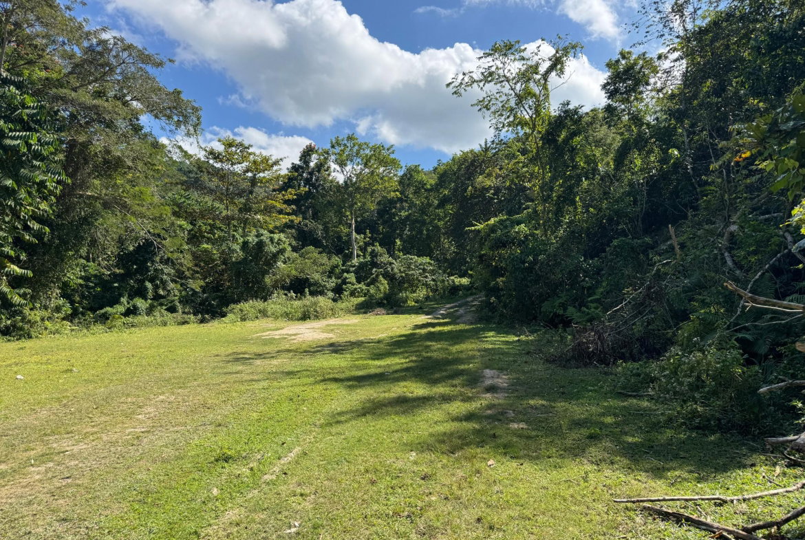 Eighth image of Eden Estate in Mount Carey, St. James, Jamaica - property is For Sale