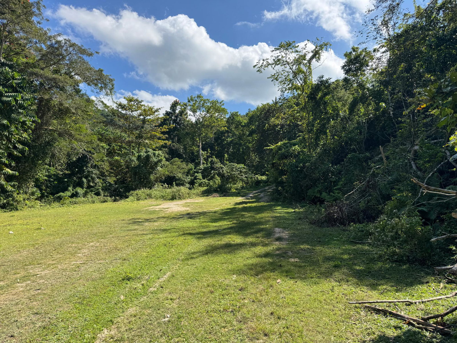 Eighth image of Eden Estate in Mount Carey, St. James, Jamaica - property is For Sale