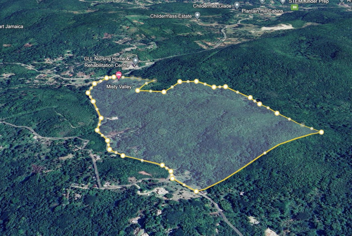 Tenth image of Eden Estate in Mount Carey, St. James, Jamaica - property is For Sale