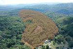 First image of Eden Estate in Mount Carey, St. James, Jamaica - property is For Sale
