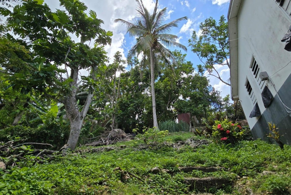 Twenty-First image of 50 Sunrise Close, Pitfour in Pitfour Gardens, St. James, Jamaica - property is For Sale