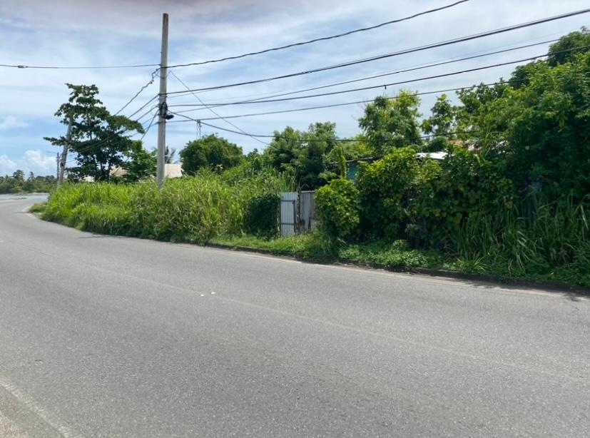 Third image of Gibraltor Estate, st Mary in Annotto Bay, St. Mary, Jamaica - property is For Sale