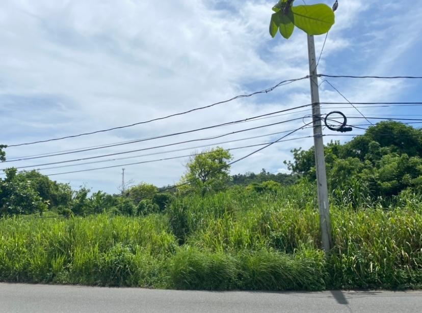 Fourth image of Gibraltor Estate, st Mary in Annotto Bay, St. Mary, Jamaica - property is For Sale