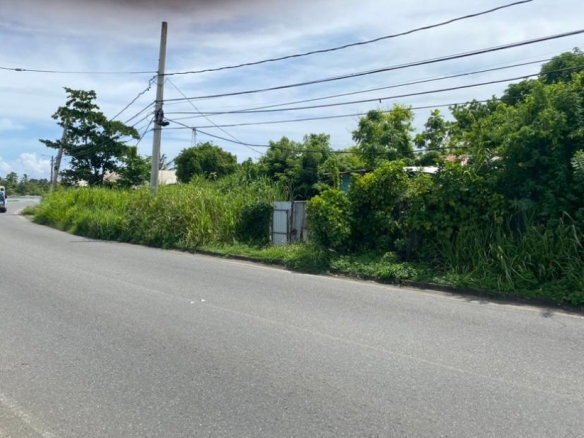 First image of Gibraltor Estate, st Mary in Annotto Bay, St. Mary, Jamaica - property is For Sale