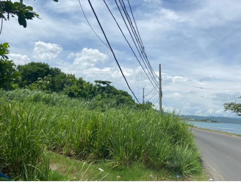 Eighth image of Gibraltor Estate, st Mary in Annotto Bay, St. Mary, Jamaica - property is For Sale