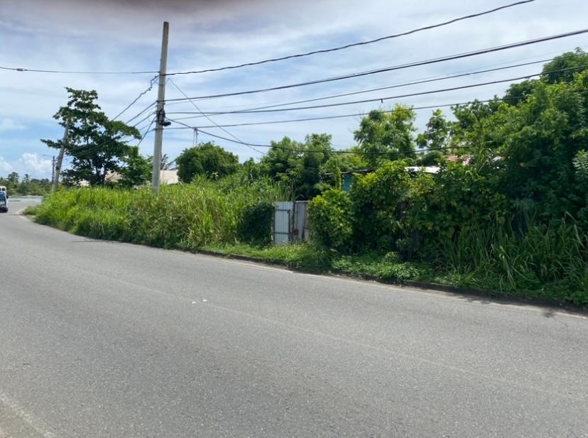 First image of Gibraltor Estate, st Mary in Annotto Bay, St. Mary, Jamaica - property is For Sale