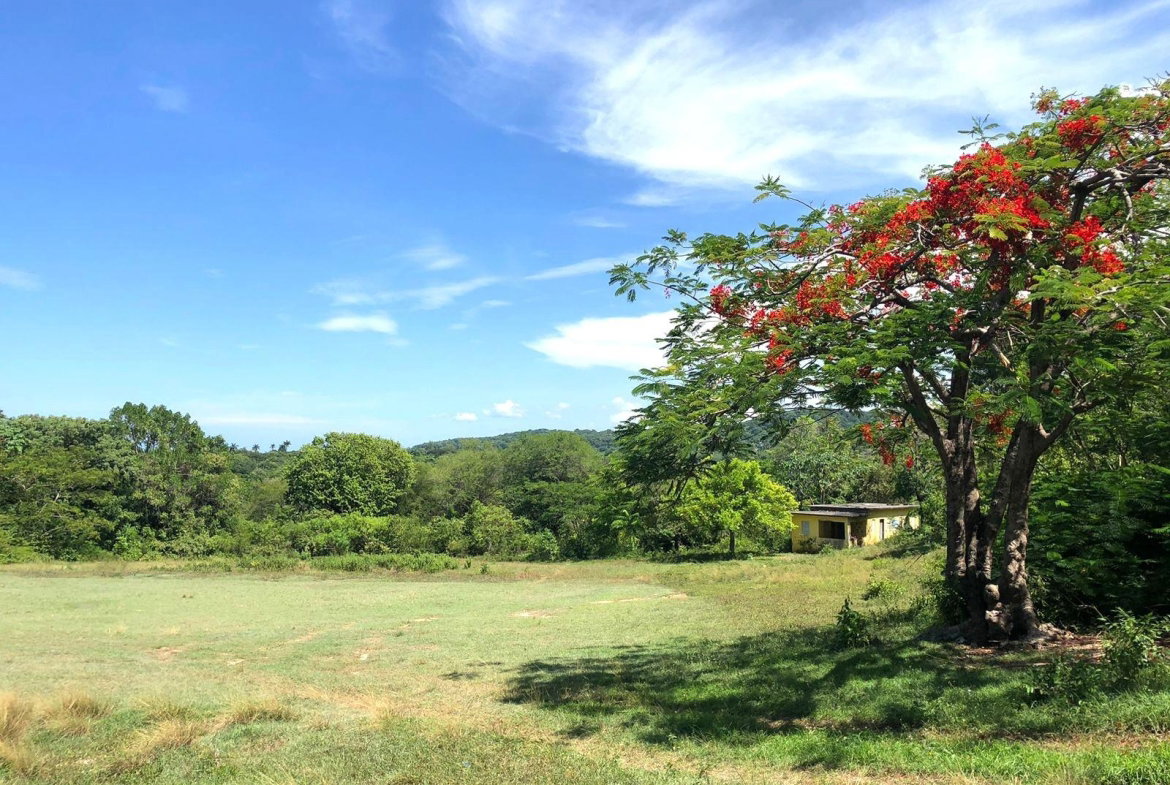 Eleventh image of 90- Mahogany Hill Homes, in Chester, St. Ann, Jamaica - property is For Sale