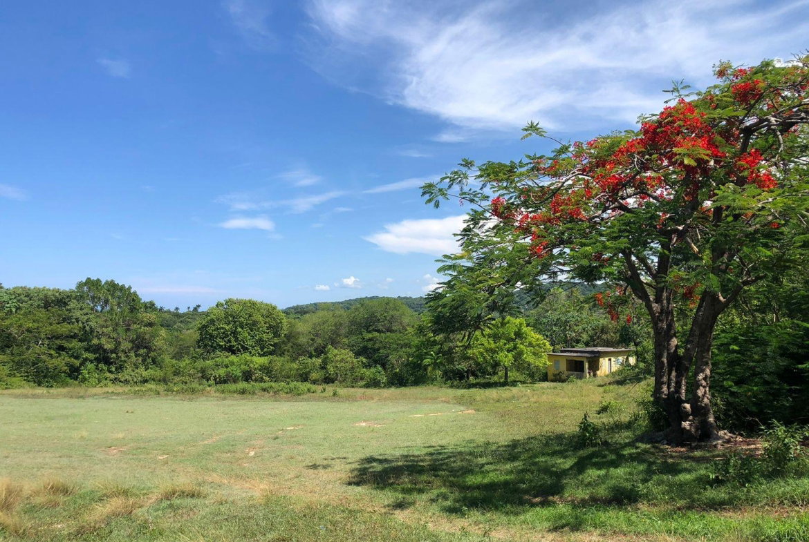 Fourteenth image of 88- Mahogany Hill Homes, in Chester, St. Ann, Jamaica - property is For Sale